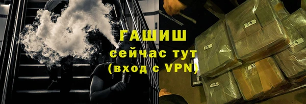 шишки Аркадак