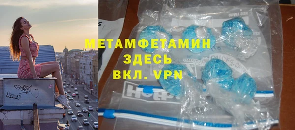 шишки Аркадак